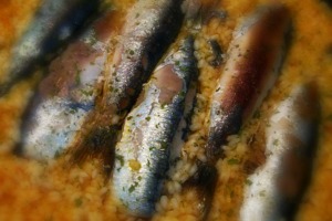 Arroz con sardinas de Tarragona
